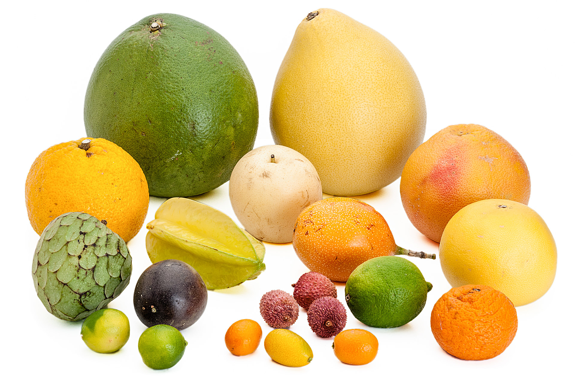 citrus fruits allergic?