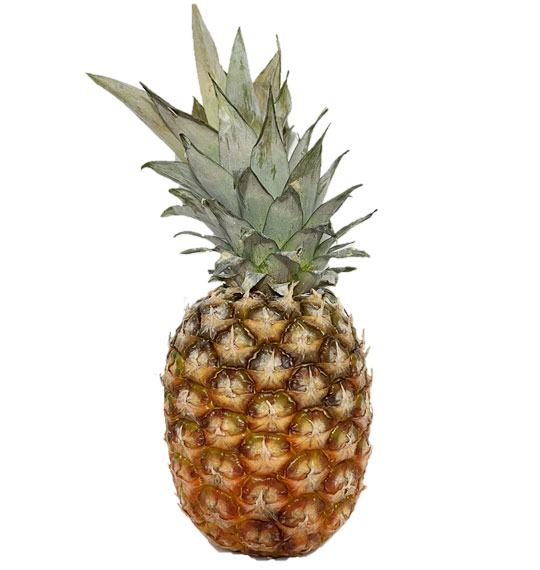 fruits-archive-foodinsider